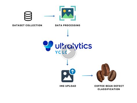 Coffee Bean Defects Automatic Classification Realtime Application ...