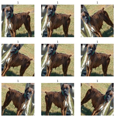 Image result for Transfer Learning Tensorflow