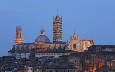 Image result for Python Siena