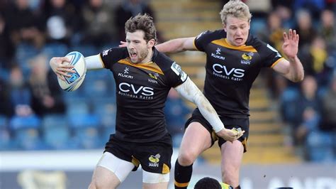 Wasps 64 - 17 Viadana - Match Report & Highlights