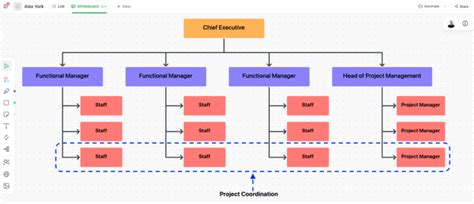 Image result for Project Management Structure