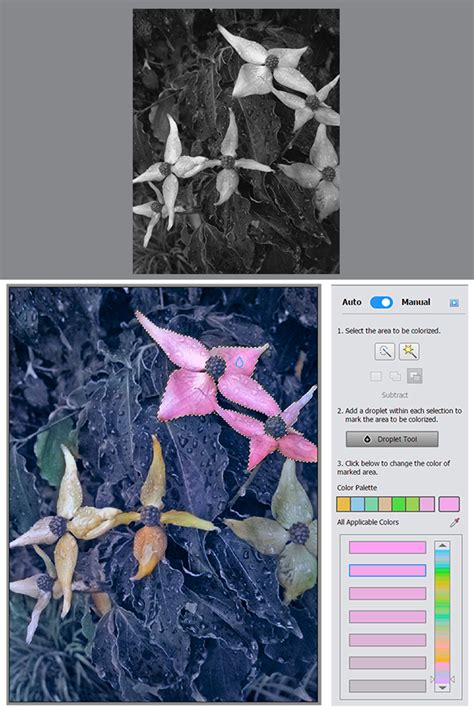 Photoshop CS2 Colorize 的图像结果