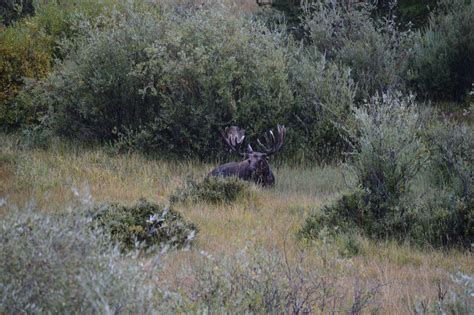 American Land & Leisure - Stillwater Campground on Lake Granby near ...