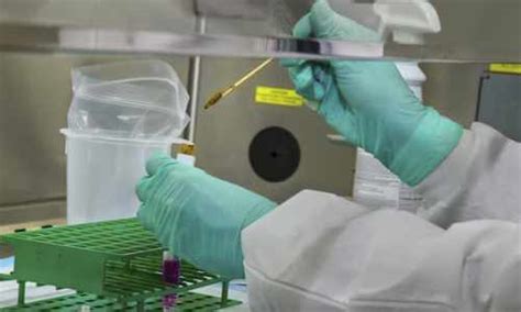 Image result for 4th Generation HIV Test Algorithm