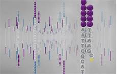 illumina ngs sequencing next generation sequencing ngs explore the technology illumina ngs sequencing next generation sequencing ngs explore the technology
