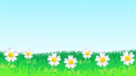Animated Spring Background 的图像结果