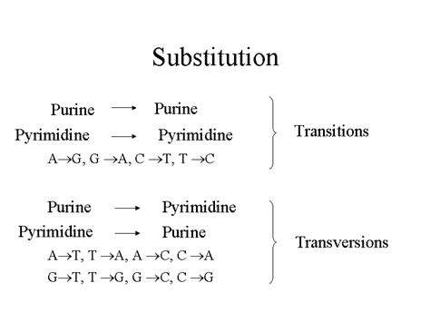 Basic Substitution 的图像结果