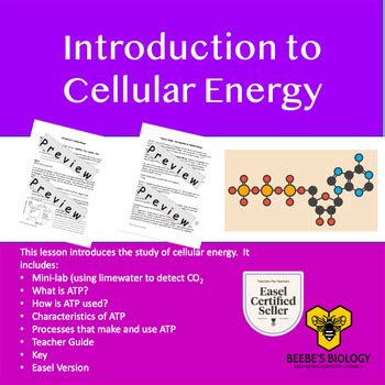 Energy Molecule 的图像结果