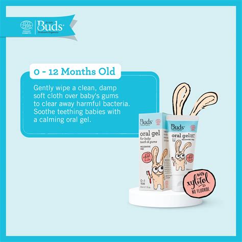 Buds Oral Care Organics Oral Gel with Xylitol / Children's Toothpaste ...