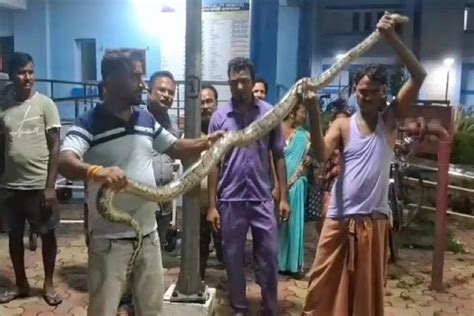 Image result for Python Code in Kannada