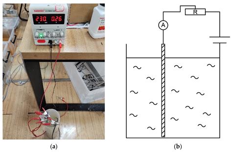 Cellular Automata-Based Experimental Study on the Evolution of ...