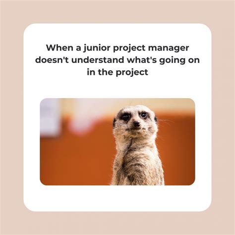 Image result for Project Management Fun