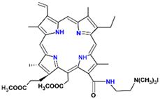 Photophysical Process of Hypocrellin-Based Photodynamic Therapy: An ...