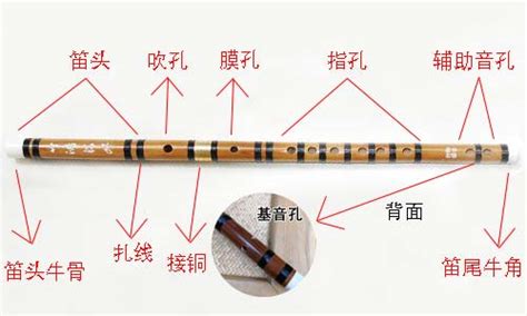 竹笛一般是什么竹子制作的？怎么样的竹子做笛子最好？
