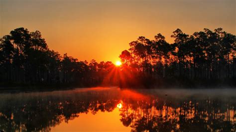Wallpaper sunset, lake, rays, trees, florida hd, picture, image