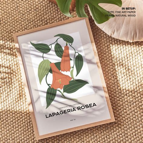 Lapageria Rosea: Buy Best Framed Minimalist Art Painting Online ...