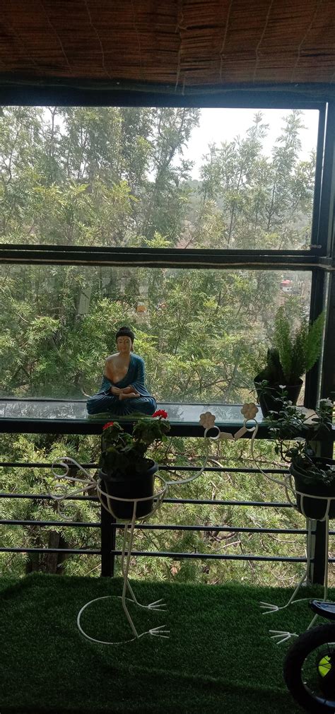 HOTEL SUNRISE COTTAGE (Kasauli) - Hotel Reviews, Photos, Rate ...