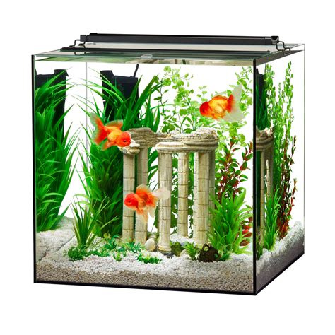 Aqueon Frameless Cube Aquarium, 35 Gallon | Petco