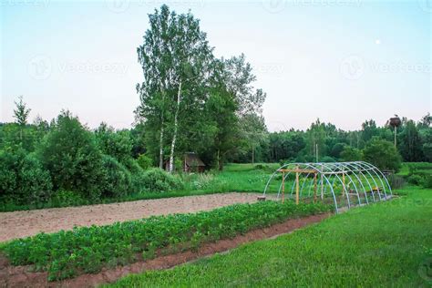 Small Acres 的图像结果