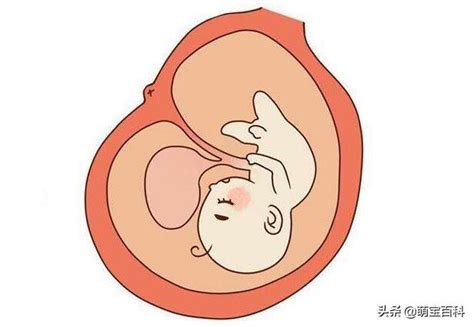 双胞胎孕妈妈记录自己的孕期身材变化，到孕35周这肚子大的好夸张！