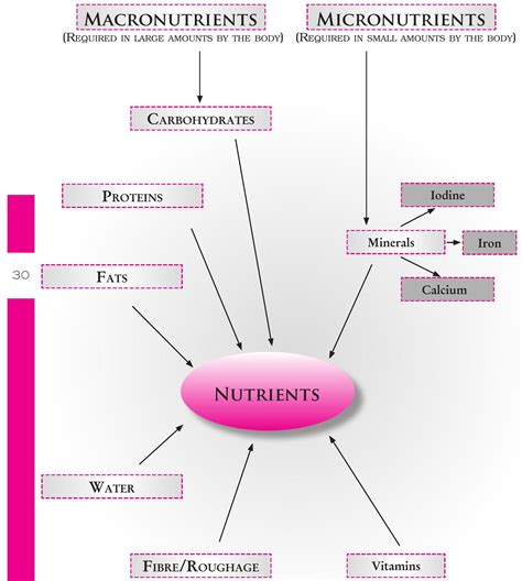 Nutrition 的图像结果