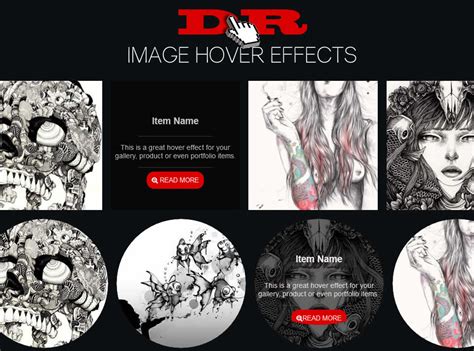 Image result for CSS Image Hover Effects