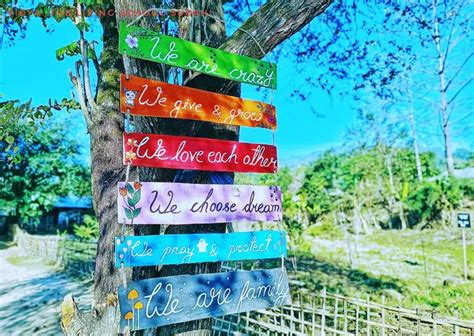 Vidya: This Living School In Assam Holds Classes In Open & Imparts ...