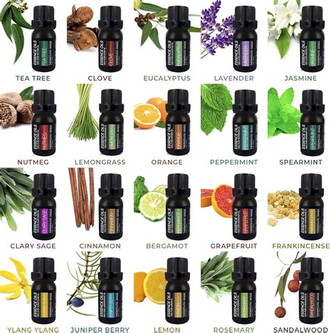 PureDailyCare Aromatherapy Essential Oil Diffuser Gift Set with 20 ...