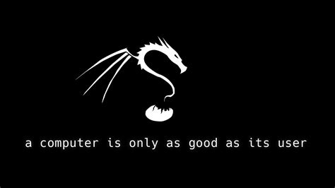 Image result for Kali Linux Background