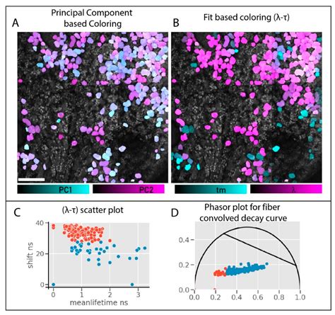 Hyperdimensional Imaging Contrast Using an Optical Fiber