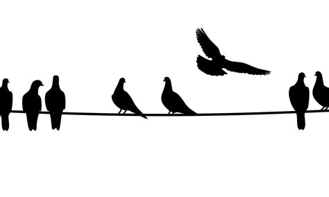 Silhouette of a dove sitting on a wire on a white background. A group ...