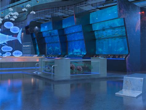 Alexandria Aquarium Interior Redesign :: Behance