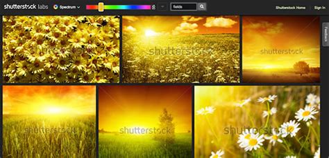 Image result for Web Design Color Trends