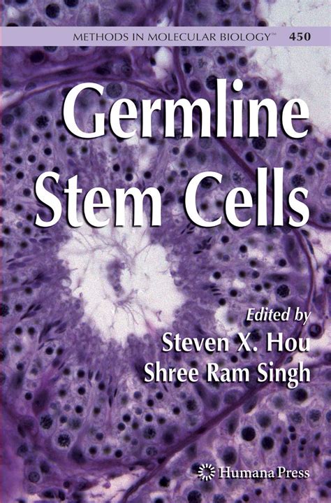 Buy Germline Stem Cells: 450 (Methods in Molecular Biology) Book Online ...