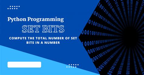 Image result for Python Bit