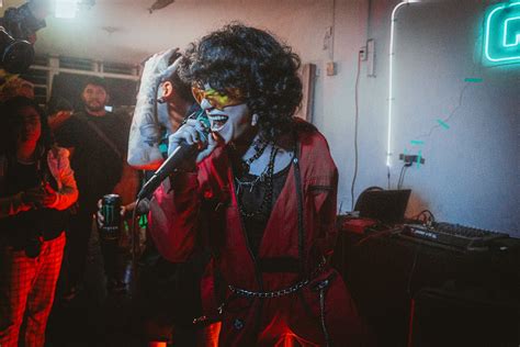 Singer 的图像结果