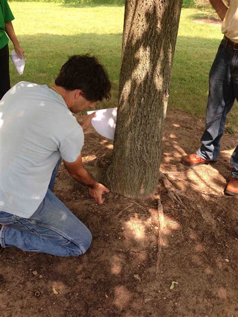 Image result for Project Learning Tree PDF