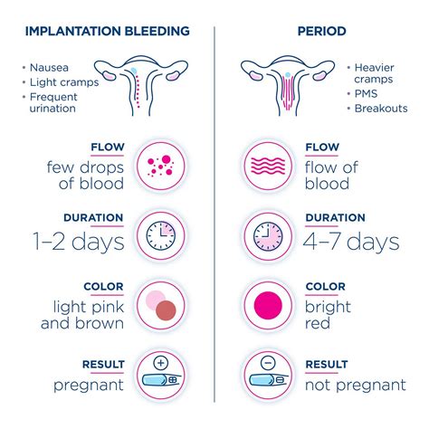 Implantation Bleeding Colour Brown