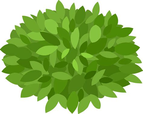 Shrub Clipart Grass - Clip Art Bushes PNG Image | Transparent PNG ...