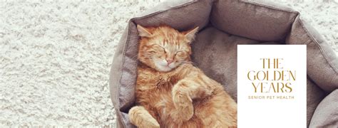 Homepage | Alamo Animal Hospital