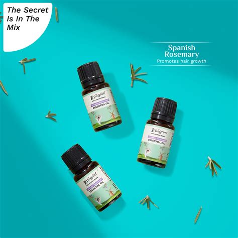 Buy Pilgrim Spanish Rosemary Essential Hair Oil Online
