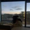 define the folowing rotation - Brainly.in