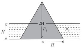 A Liquid ρ 1 is filled inside the cone, liquid ρ 2 is filled outside ...