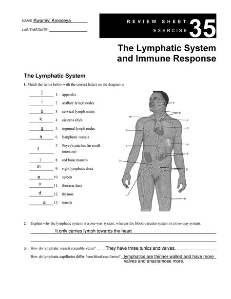 Image result for Lymphatic System Worksheet