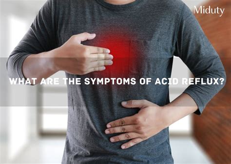 What are the symptoms of Acid reflux? - Miduty
