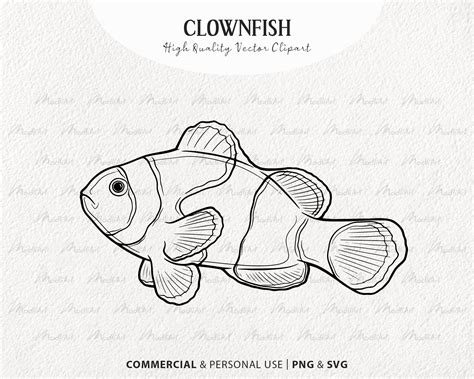 Clownfish Vector Clipart. Coral Reef Fish SVG Drawing. Ocean Fish Line ...