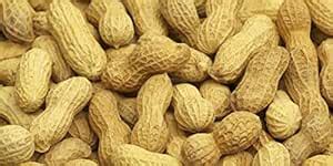 RIMI 100% Natural Producer Groundnut With Shell, Raw Peanut/Fresh ...