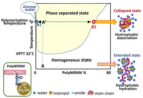 Gels | Special Issue : New Era in the Volume Phase Transition of Gels