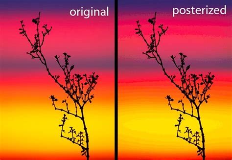 Tails 64-Bit 32-Bit 16-Bit 8-Bit 4-Bit 2-Bit 1Bit 的图像结果