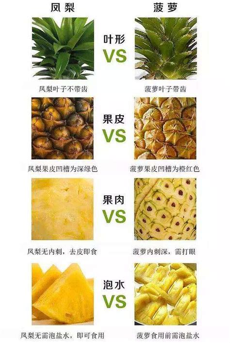 凤梨和菠萝的区别在哪里？几张图就能看懂-十万个为什么_家庭百科